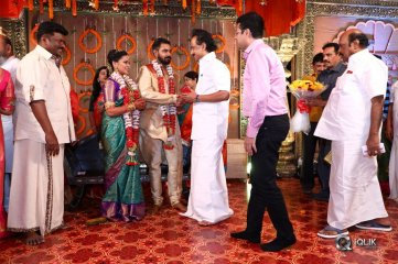 Parthiban and Seetha Daughter Keerthana Wedding Photos
